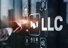 What Are The Different Types Of LLC’s In The US llc