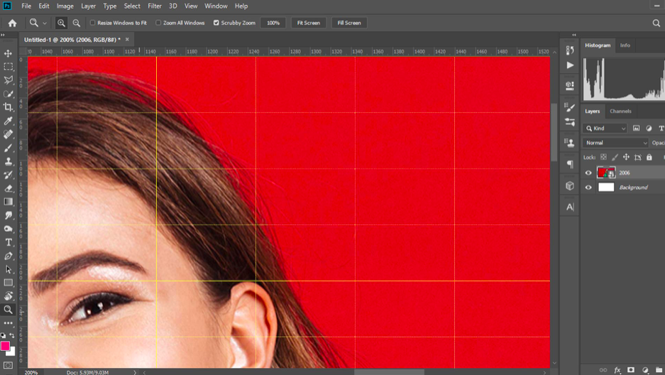 how to zoom in photoshop