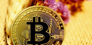 What Are You Agreeing To While Using The Bitcoin Prime App? Bitcoin Prime App