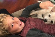 Kids with pets Experience Endless Benefits- Here Are a Few to Discover Kids with pets Experience Endless Benefits- Here Are a Few to Discover.