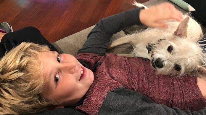 Kids with pets Experience Endless Benefits- Here Are a Few to Discover.