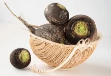 7 Amazing Benefits Of Black Radish benefits of black radish